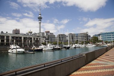 Auckland Yeni Zelanda