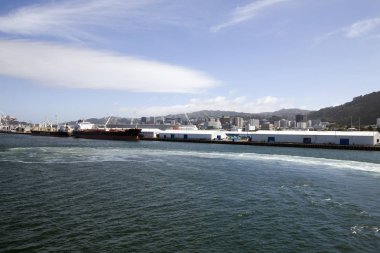 Feribot görünümü Wellington Yeni Zelanda
