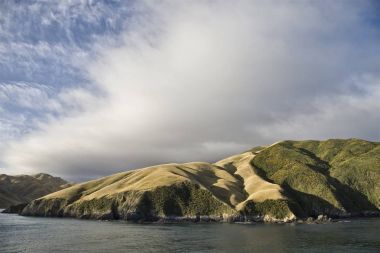 Feribot görünümü Picton Yeni Zelanda