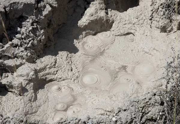 Rotorua Mud Pools — Stock Photo, Image