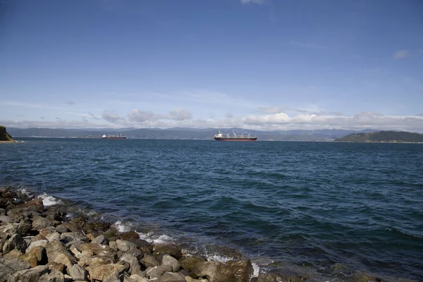 Fähre blick wellington neuseeland — Stockfoto