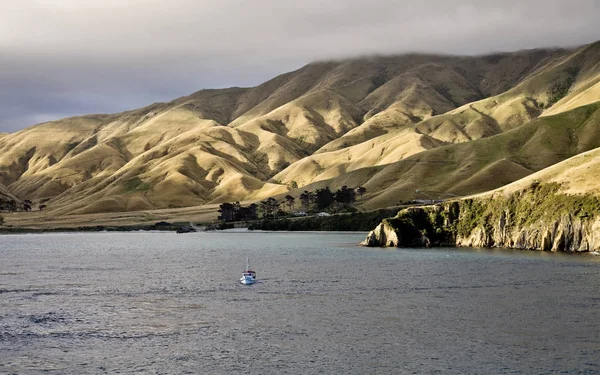 Ferry View Picton New Zealand — Stock Photo, Image