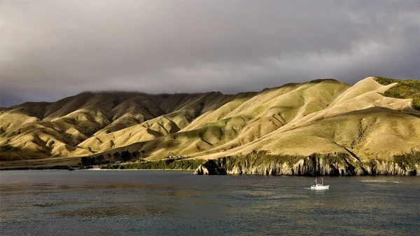 Ferry View Picton Új-Zéland — Stock Fotó