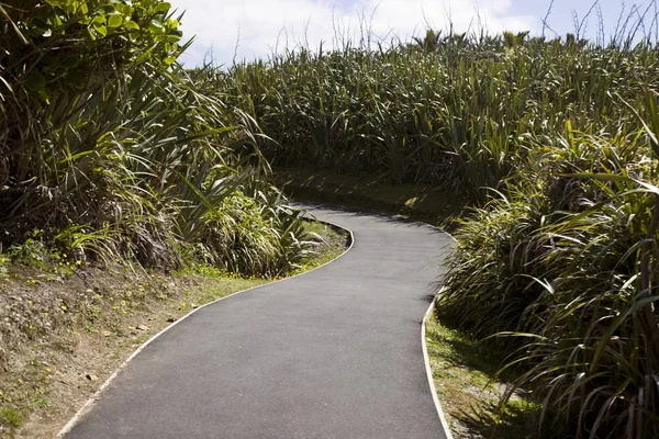 Pancake Rocks New Zealand — Stock Photo, Image