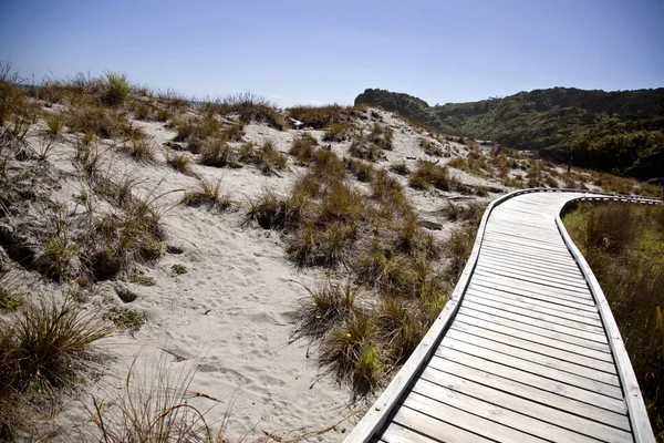 Wooden Walkway New Zeland — Stock Photo, Image