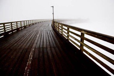 Salmon ARM Ingiliz Kolombiyası