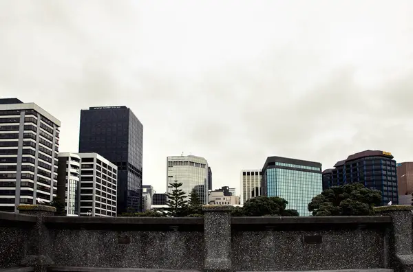 Wellington, New Zealand City — Stockfoto