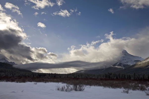 Montagnes Rocheuses en hiver — Photo