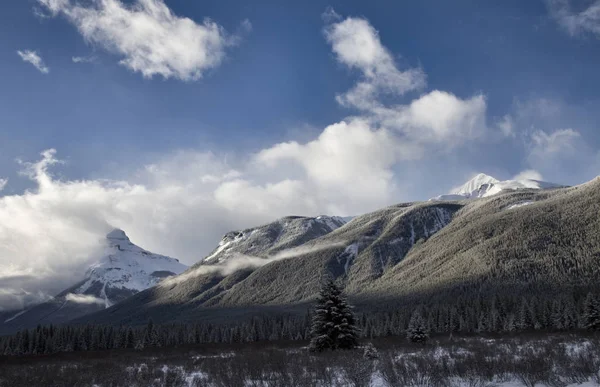 Скелясті гори взимку — стокове фото