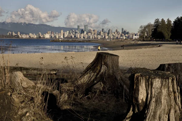 加拿大温哥华的天际线 — 图库照片