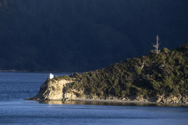 Färja Visa Picton nya Zeeland — Stockfoto