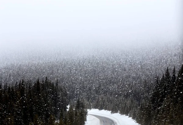 Snow Falling Mountains Canada — Stock Photo, Image