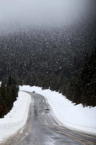 Sneeuw vallende bergen Canada — Stockfoto