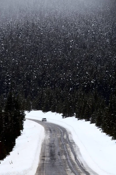 雪の落下山カナダ — ストック写真