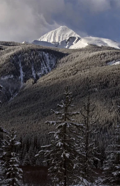 Rocky Mountains in Winter — Stock Photo, Image