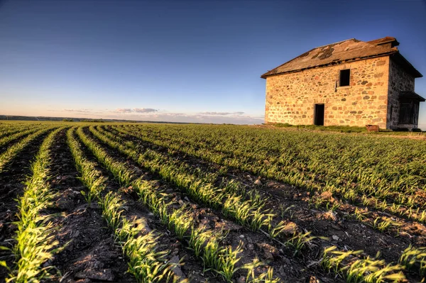 Zonsondergang lichte Saskatchewan boerderij — Stockfoto