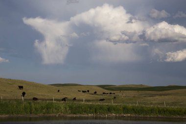fırtına bulutları saskatchewan