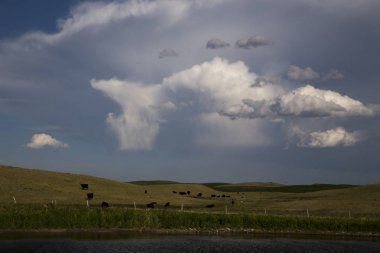 fırtına bulutları saskatchewan