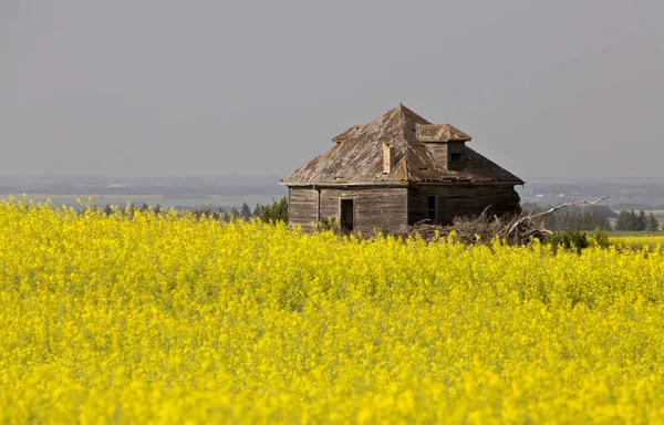 Edifícios agrícolas abandonados — Fotografia de Stock