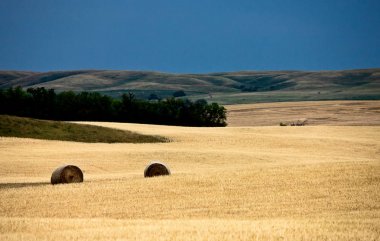 Çayır sahne Saskatchewan