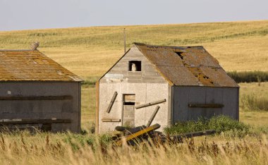 Çayır ahır Saskatchewan
