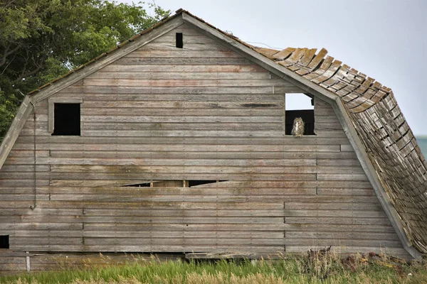 Fienile della prateria Saskatchewan — Foto Stock