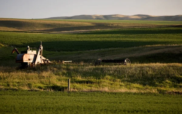 Prairie Scene Saskatchewan — Stock Photo, Image