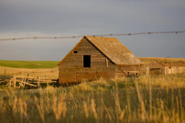 Çayır ahır Saskatchewan — Stok fotoğraf