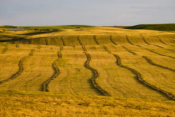 Escena de la pradera Saskatchewan — Foto de Stock