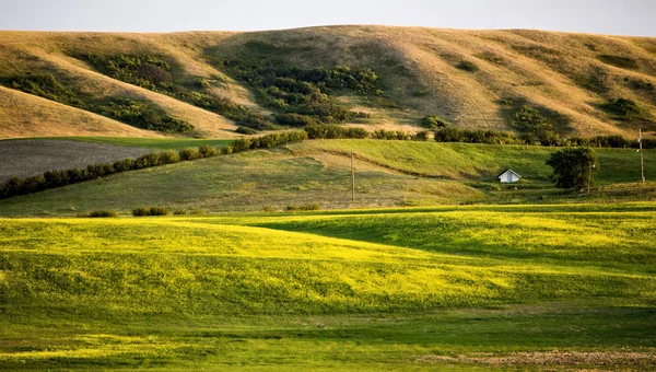 Cena de pradaria Saskatchewan — Fotografia de Stock