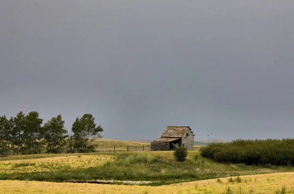 Prairie jelenet Saskatchewan — Stock Fotó