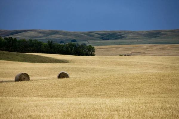 Prairie ฉาก Saskatchewan — ภาพถ่ายสต็อก