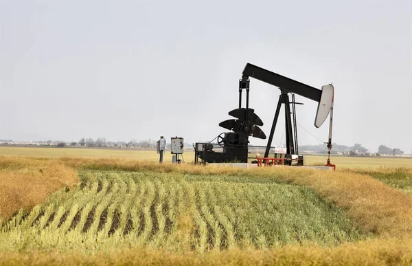 Öljacke saskatchewan — Stockfoto