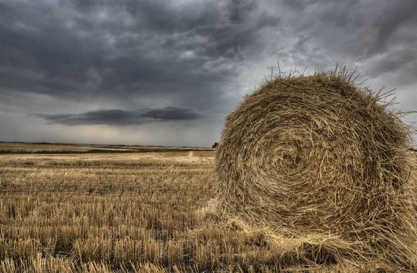 Escena de la pradera Saskatchewan — Foto de Stock