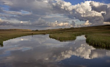 Çayır sahne Saskatchewan
