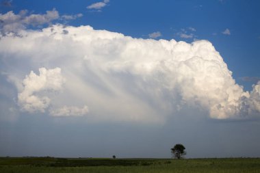 Fırtına bulutları Kanada