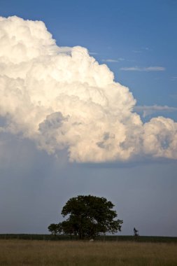 Fırtına bulutları Kanada