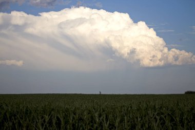 Fırtına bulutları Kanada