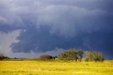 Fırtına bulutları Kanada