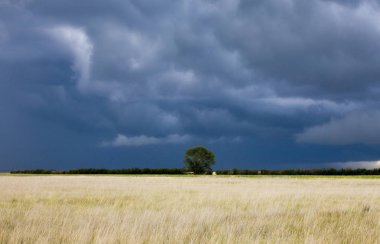 Fırtına bulutları Kanada