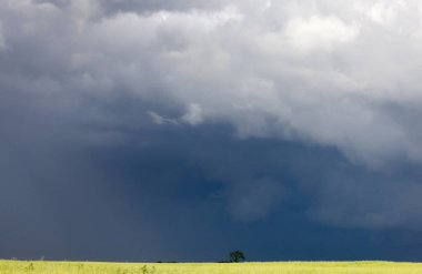 Fırtına bulutları Kanada