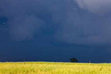 Fırtına bulutları Kanada