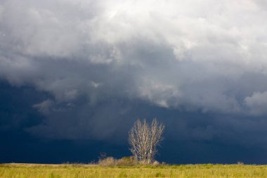 Fırtına bulutları Kanada