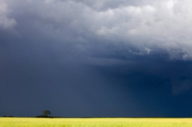 Fırtına bulutları Kanada