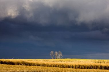 Fırtına bulutları Kanada