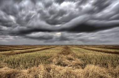 Fırtına bulutları Kanada