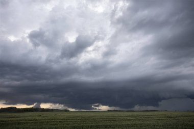 Fırtına bulutları Kanada