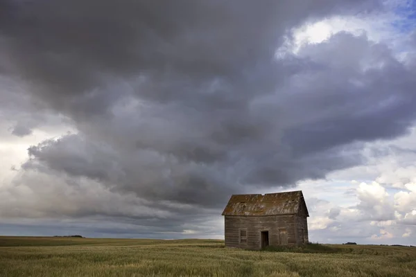 Prairie Scene Saskatchewan — Stock Photo, Image