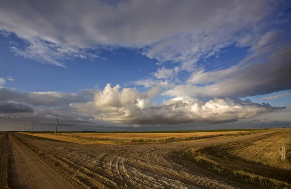Prairie scen Saskatchewan — Stockfoto