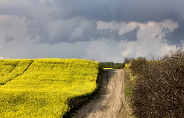 Nuvens de tempestade Canadá — Fotografia de Stock